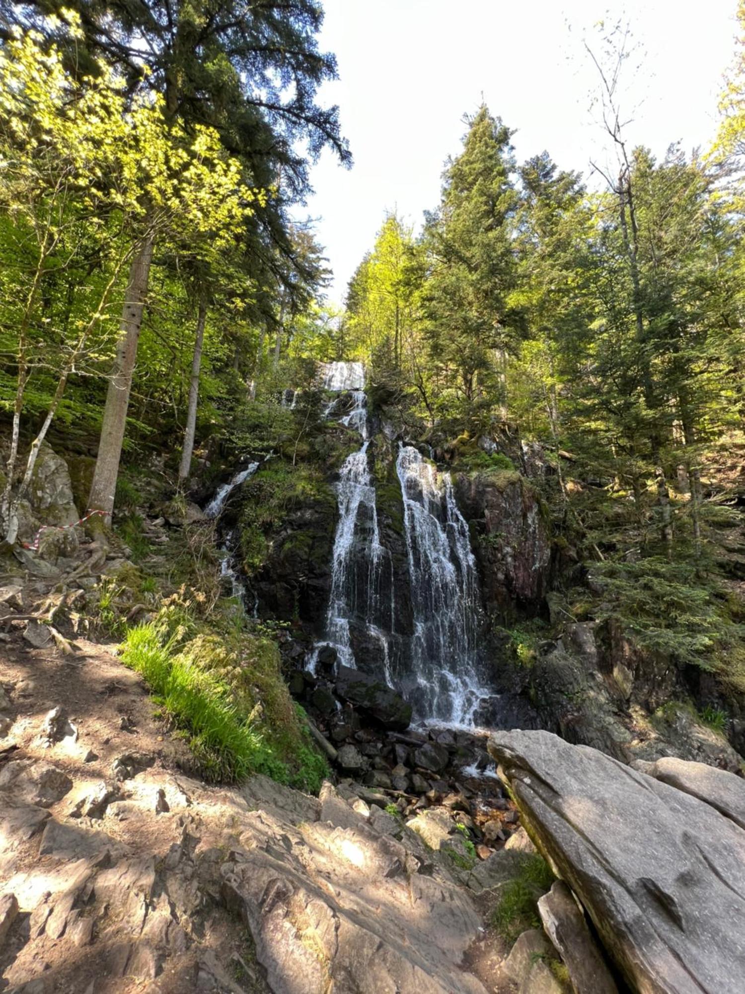 Ma Montagne Chic 4 Apartman La Bresse Kültér fotó